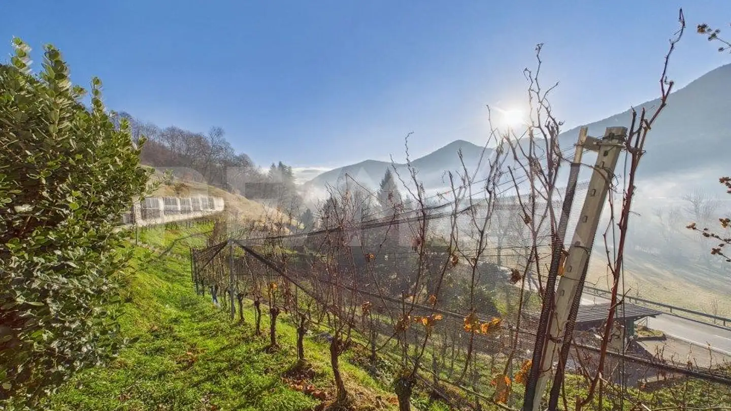 Constructible plot for sale - Ponte Cremenaga, 6998 Monteggio