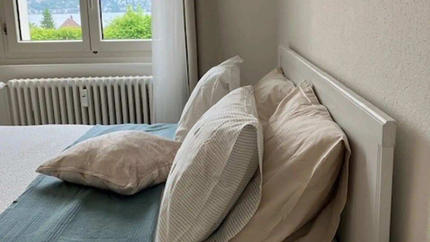 Appartamento in affitto - 8800 Thalwil