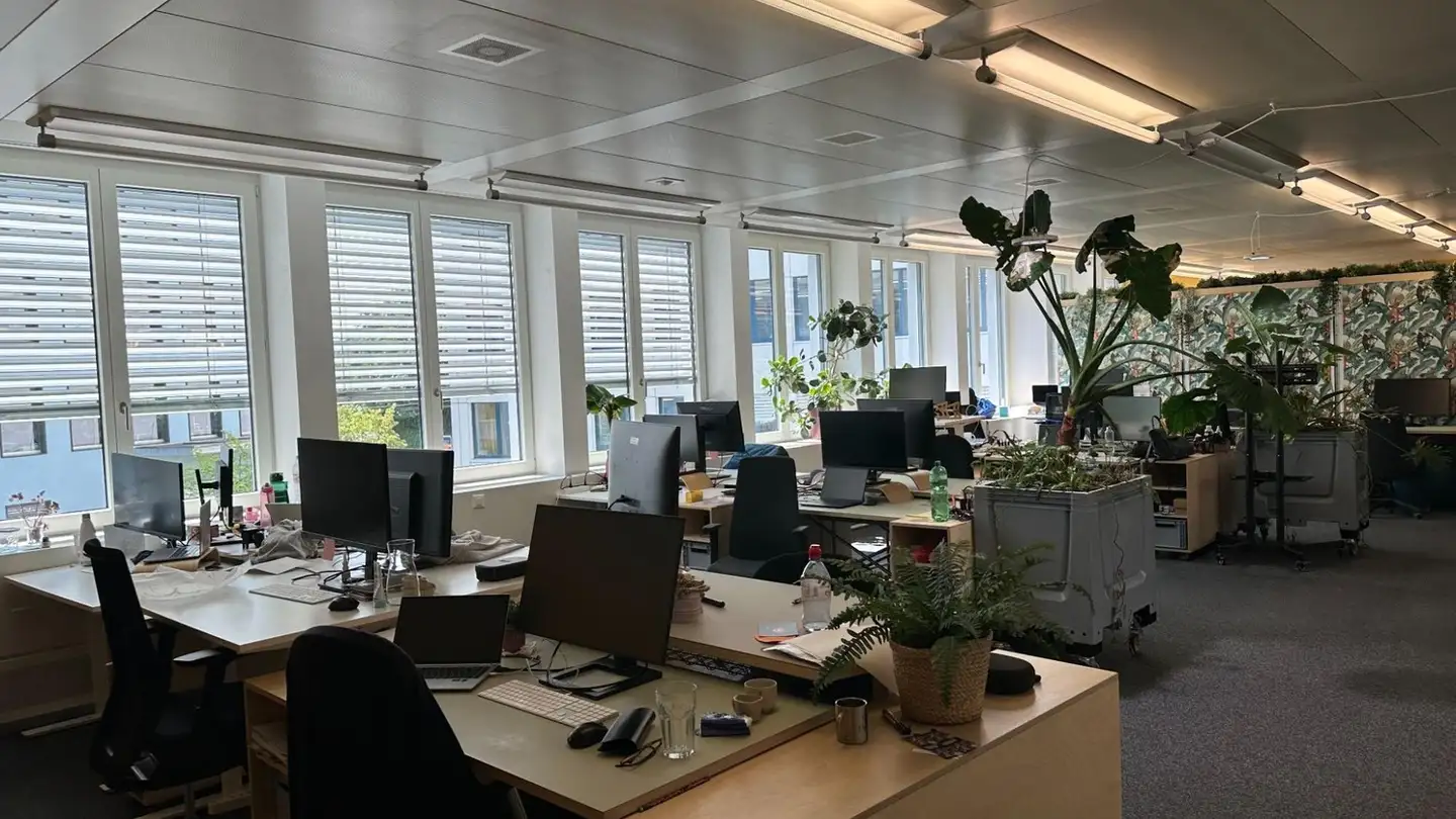 Commercial à louer - Bubenbergstrasse 2, 8045 Zürich