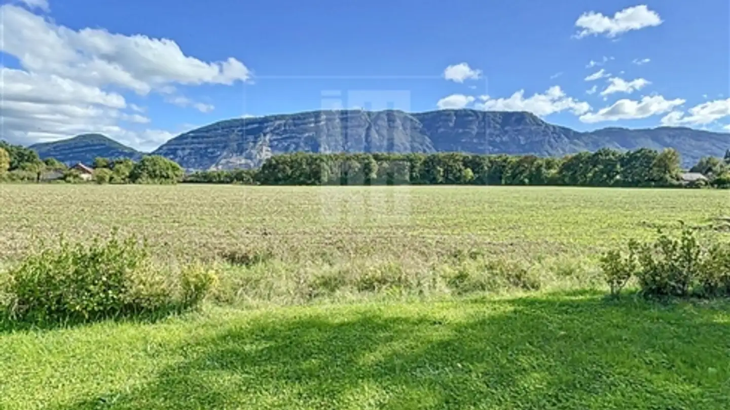 Appartement à vendre - 1234 Vessy