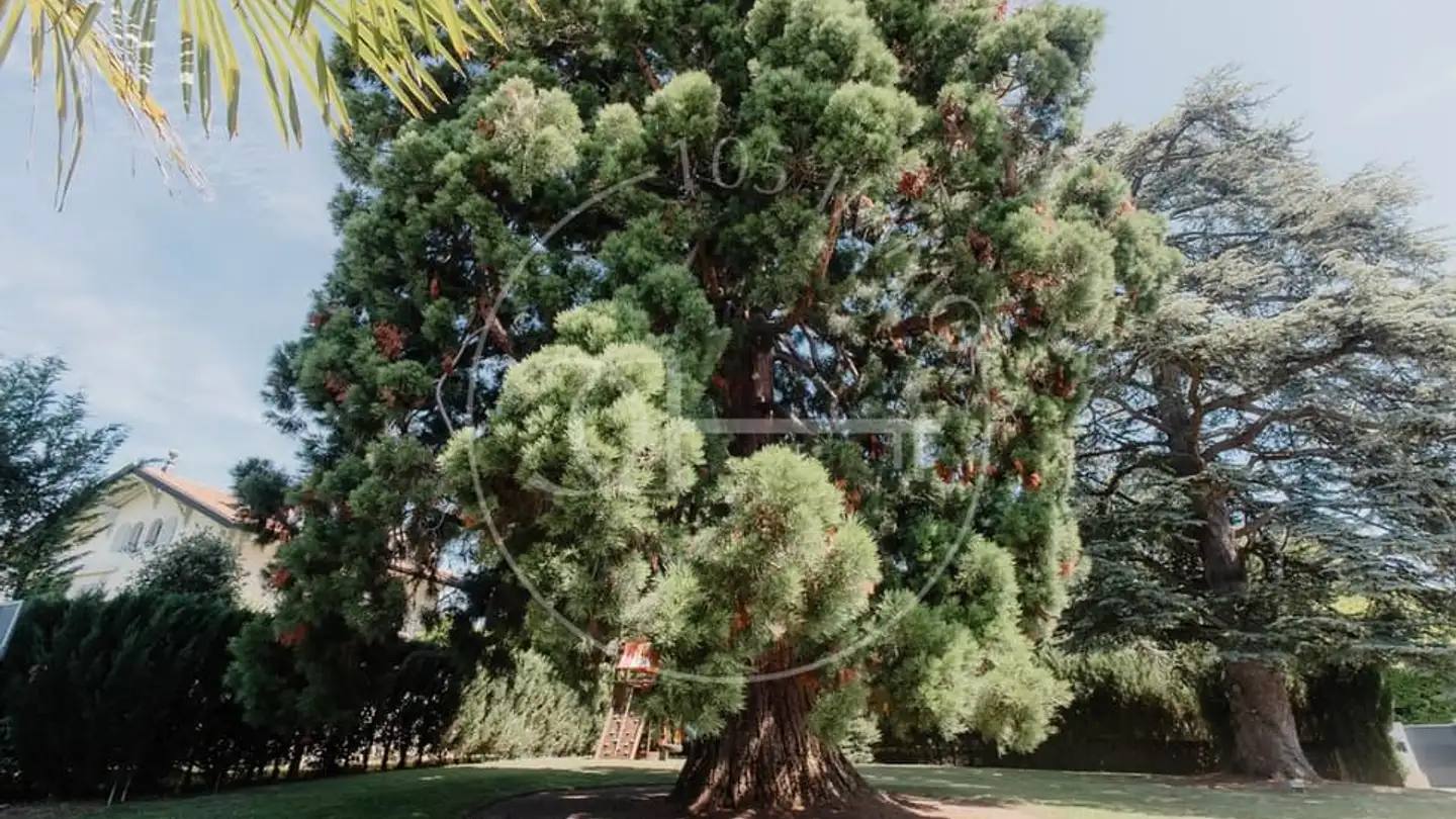 Single house for sale - Rue De Chêne-Bougeries, 1224 Chêne-Bougeries - Photo 2