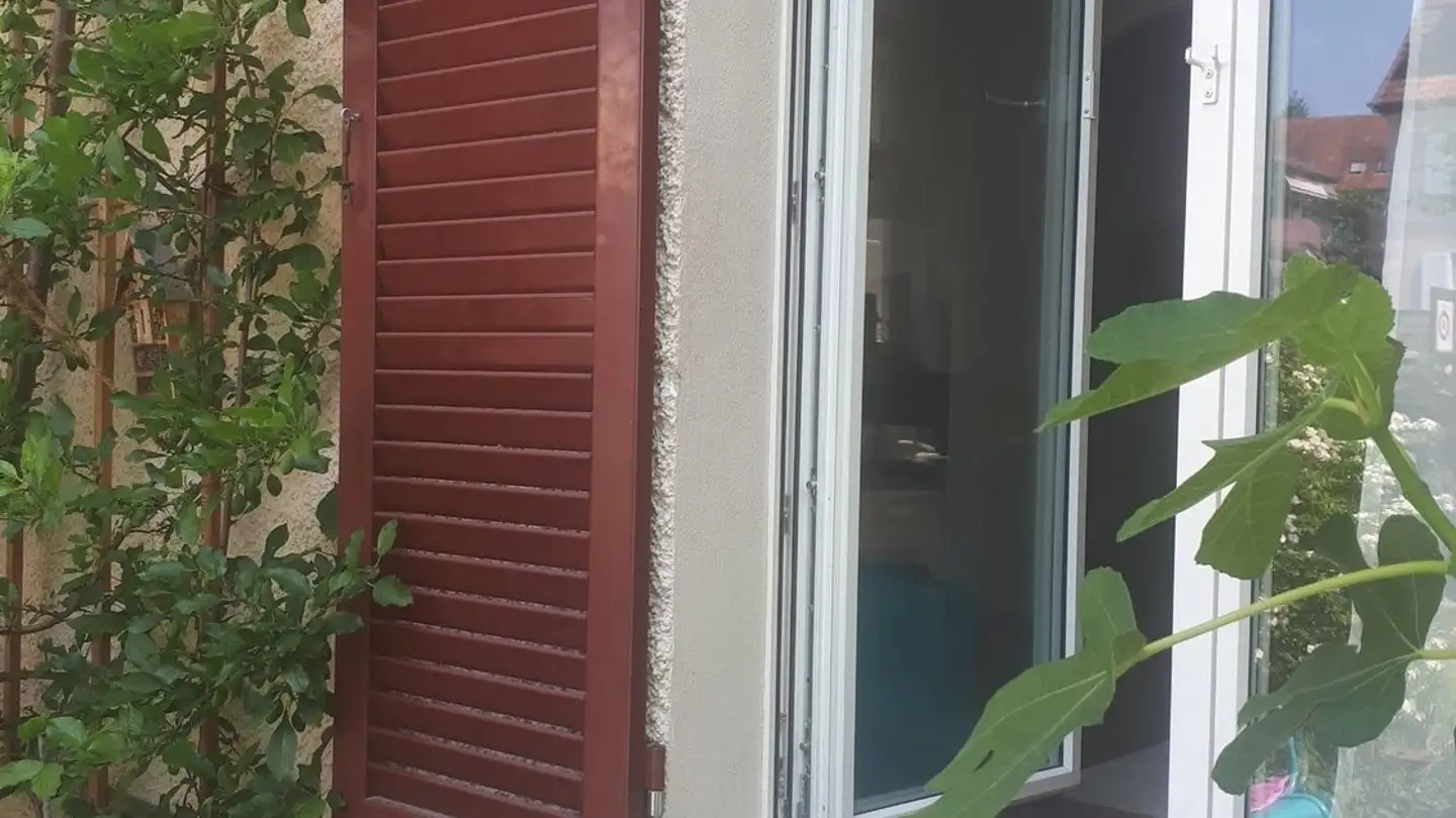 Single room for rent - 8400 Winterthur - Photo 2