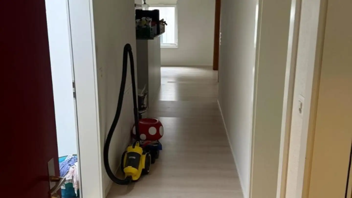 Attico in affitto - Bremgartnerstrasse 10, 8003 Zürich