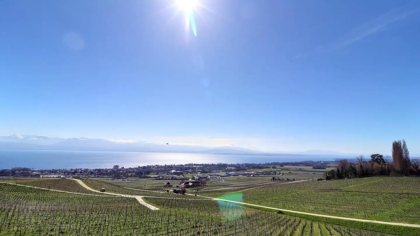 Single house for sale - 1180 Rolle - Photo 2