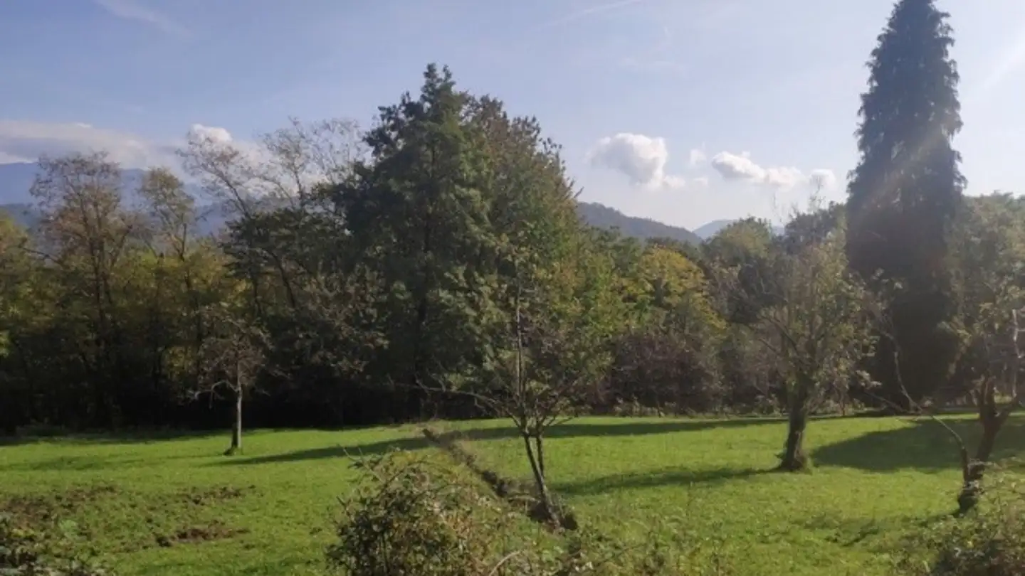 Bien immobilier à vendre - Via Mistomi, 6984 Pura