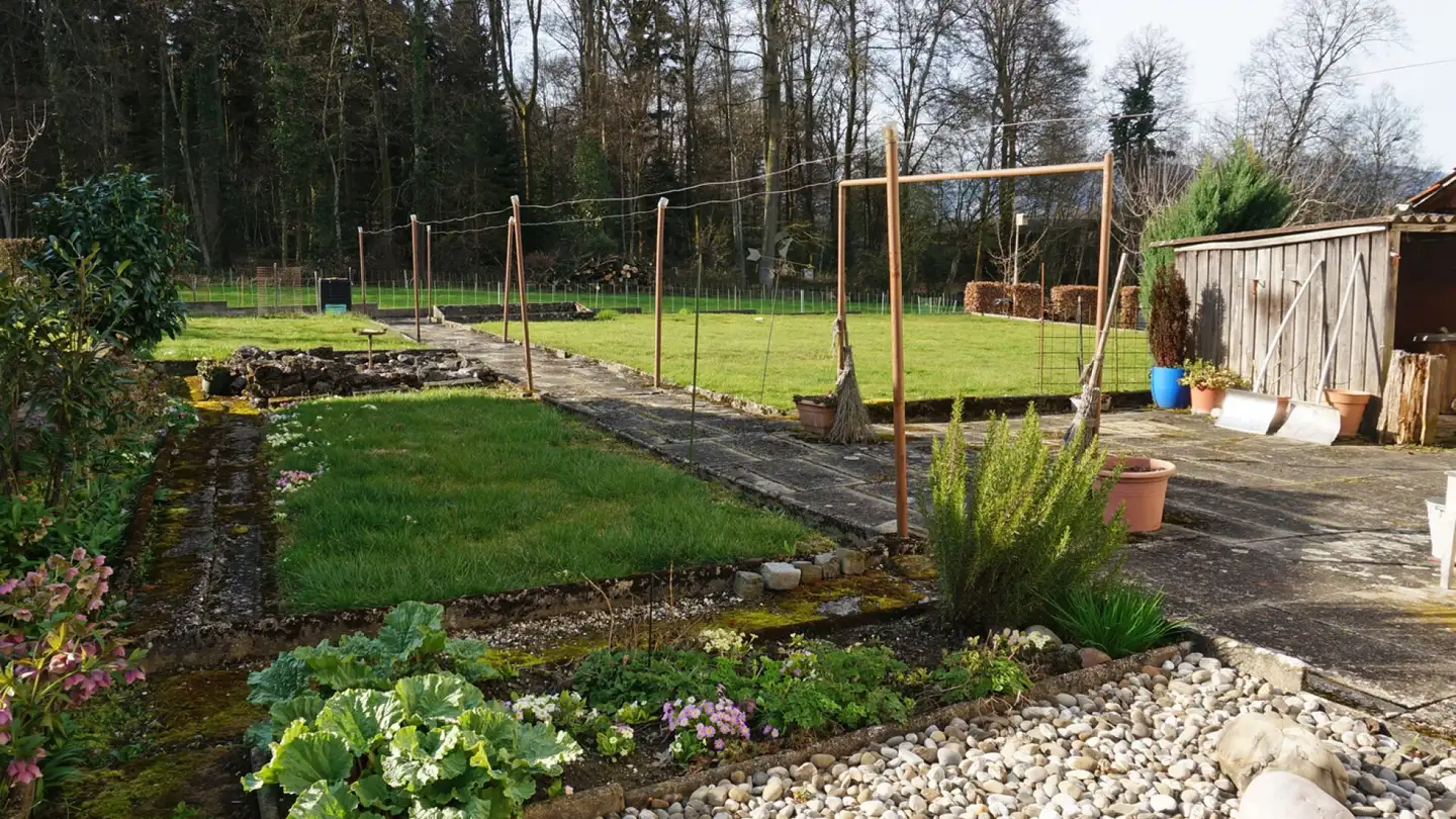 Casa singola in vendita - Höhestrasse, 4923 Wynau - Photo 4