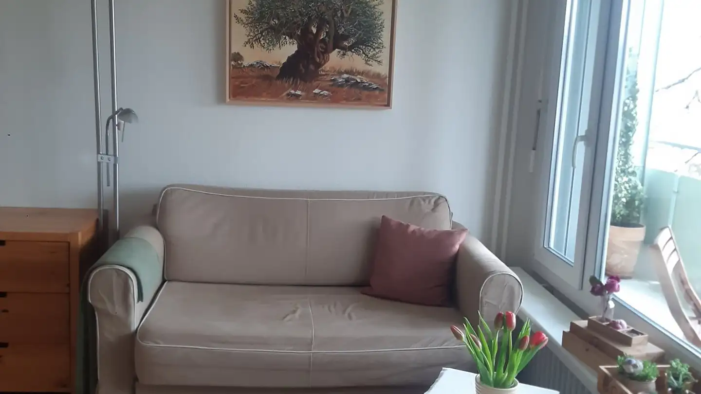 Appartement à louer - 8902 Urdorf