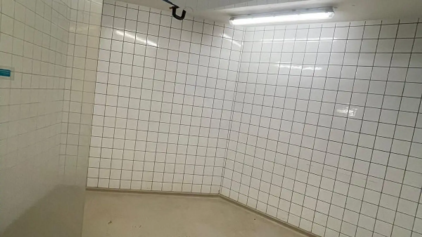 Gewerbe mieten - Hohlenbaumstrasse 71, 8200 Schaffhausen - Foto 3