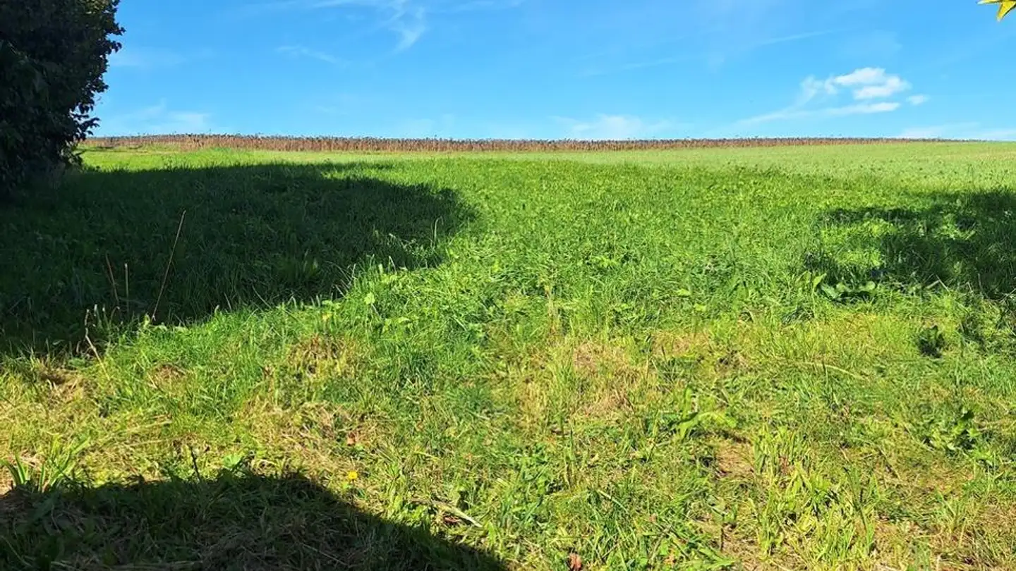 Terrain constructible à vendre - 1084 Carrouge VD