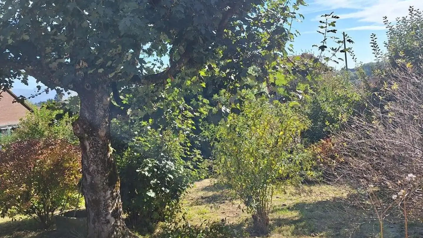 Terrain constructible à vendre - 1084 Carrouge VD