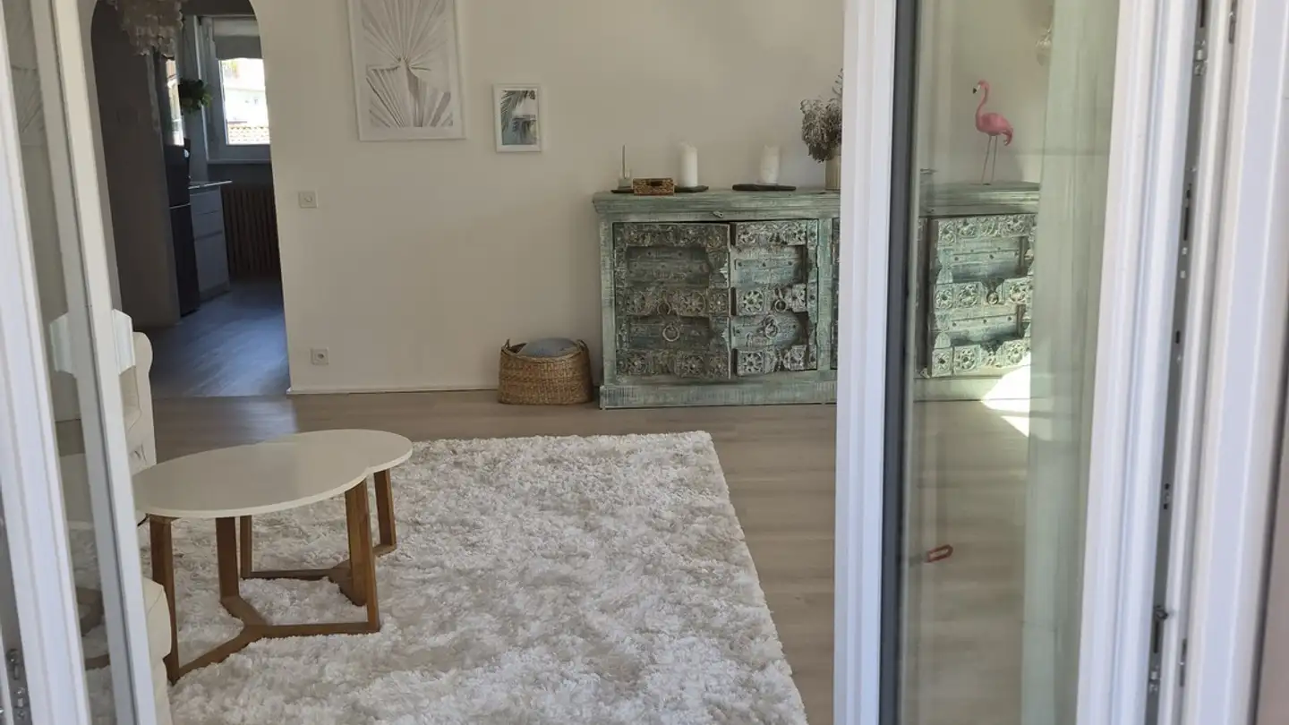 Appartamento in affitto - Via Ferrera 60, 6612 Ascona - Foto 4