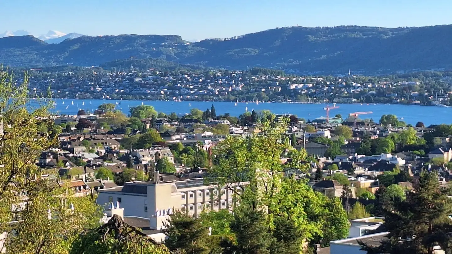 Apartment for rent - Gloriastrasse 82, 8044 Zürich - Photo 3
