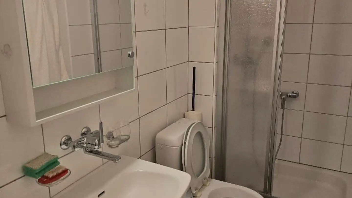 Apartment for rent - Unterdorfstrasse 55, 8105 Watt - Photo 3