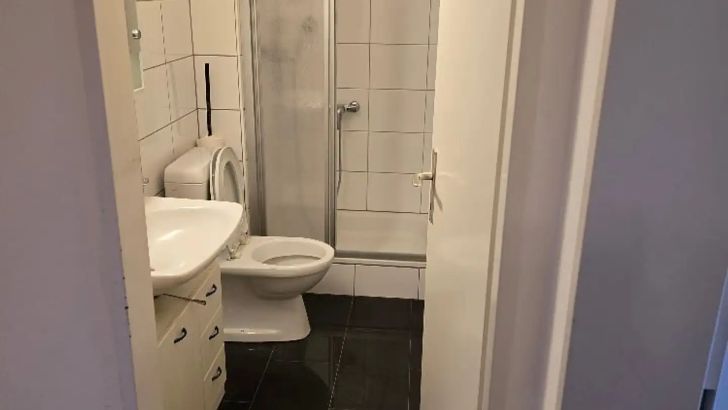 Apartment for rent - Unterdorfstrasse 55, 8105 Watt - Photo 4