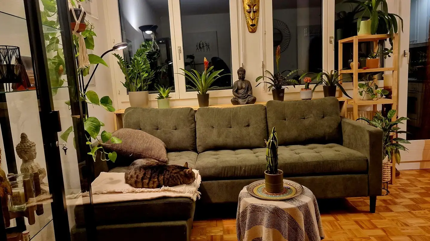 Wohnung mieten - Spitalstrasse 12, 6110 Wolhusen