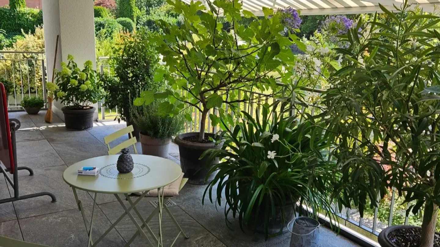 Wohnung mieten - Buechwisstrasse 2b, 8121 Benglen - Foto 3