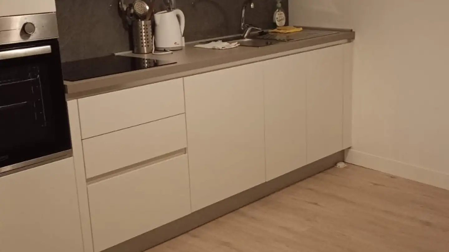 Appartement à louer - Via Carlo Maderno 30, 6825 Capolago - Photo 3