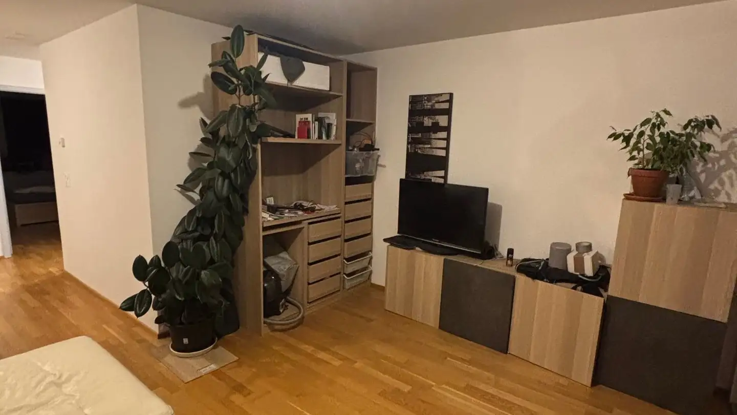 Appartement à louer - Promenade De Castellane, 1110 Morges - Photo 2