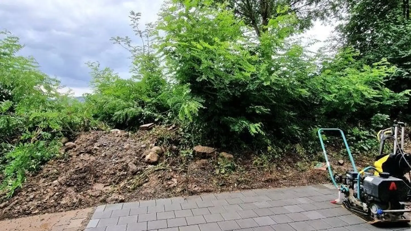 Appartamento in affitto - Schweizäckerstrasse 10, 8955 Oetwil an der Limmat - Photo 3