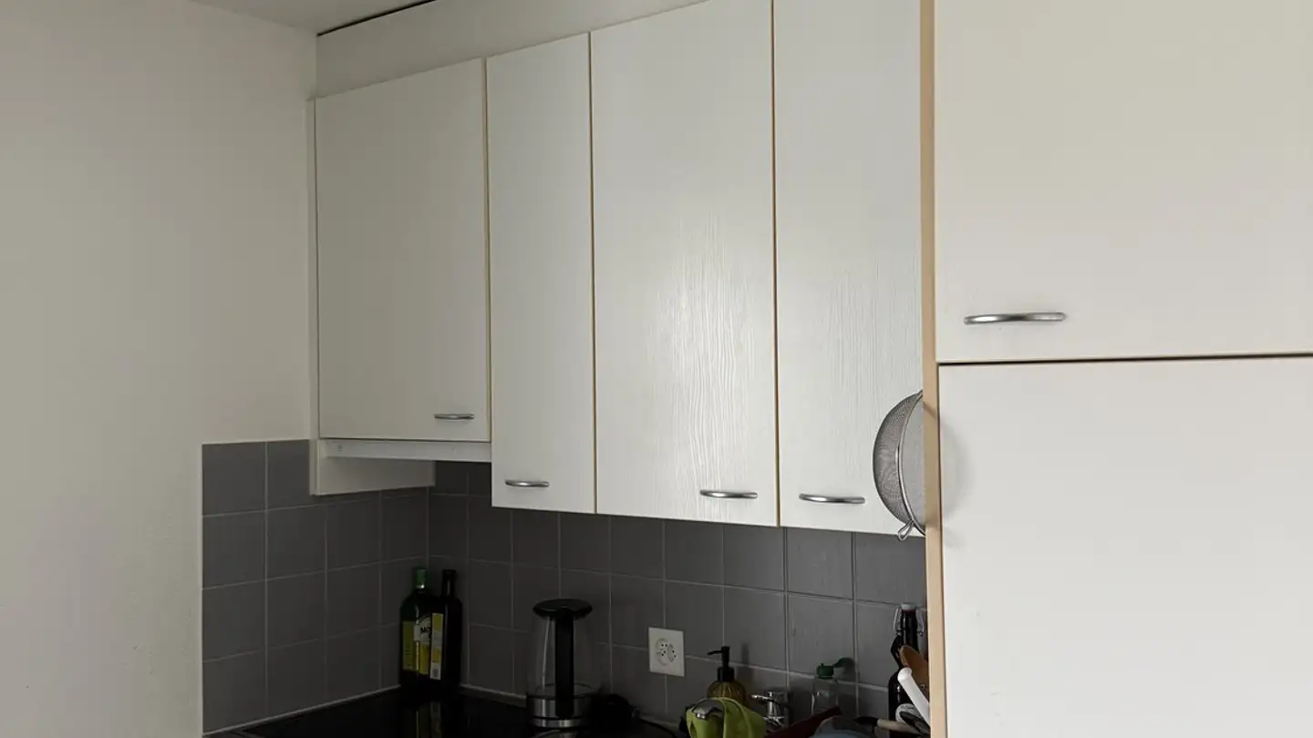 Appartement à louer - Hirzenbachstrasse 96, 8051 Zürich - Photo 4