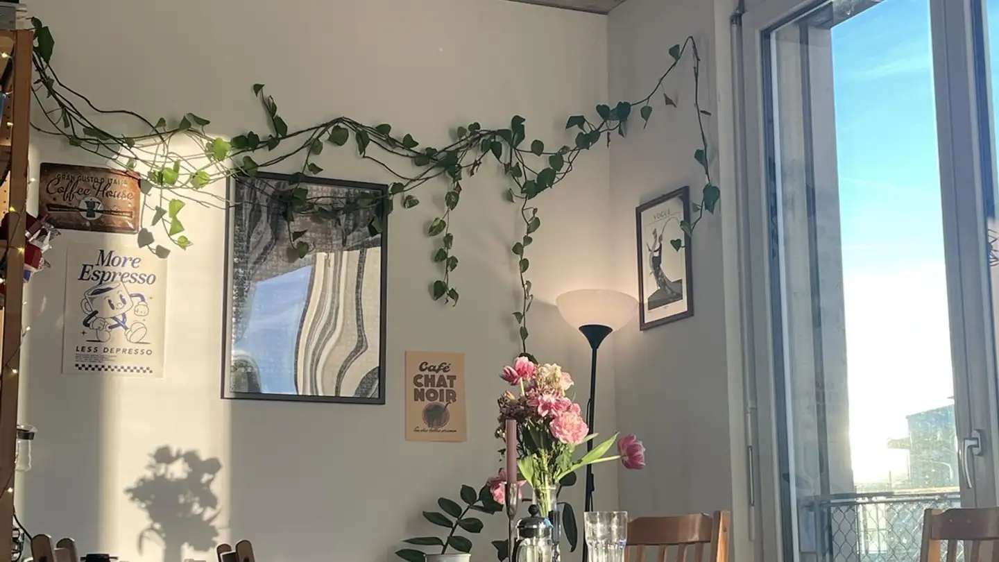 Chambre à louer - 8600 Dübendorf - Photo 3