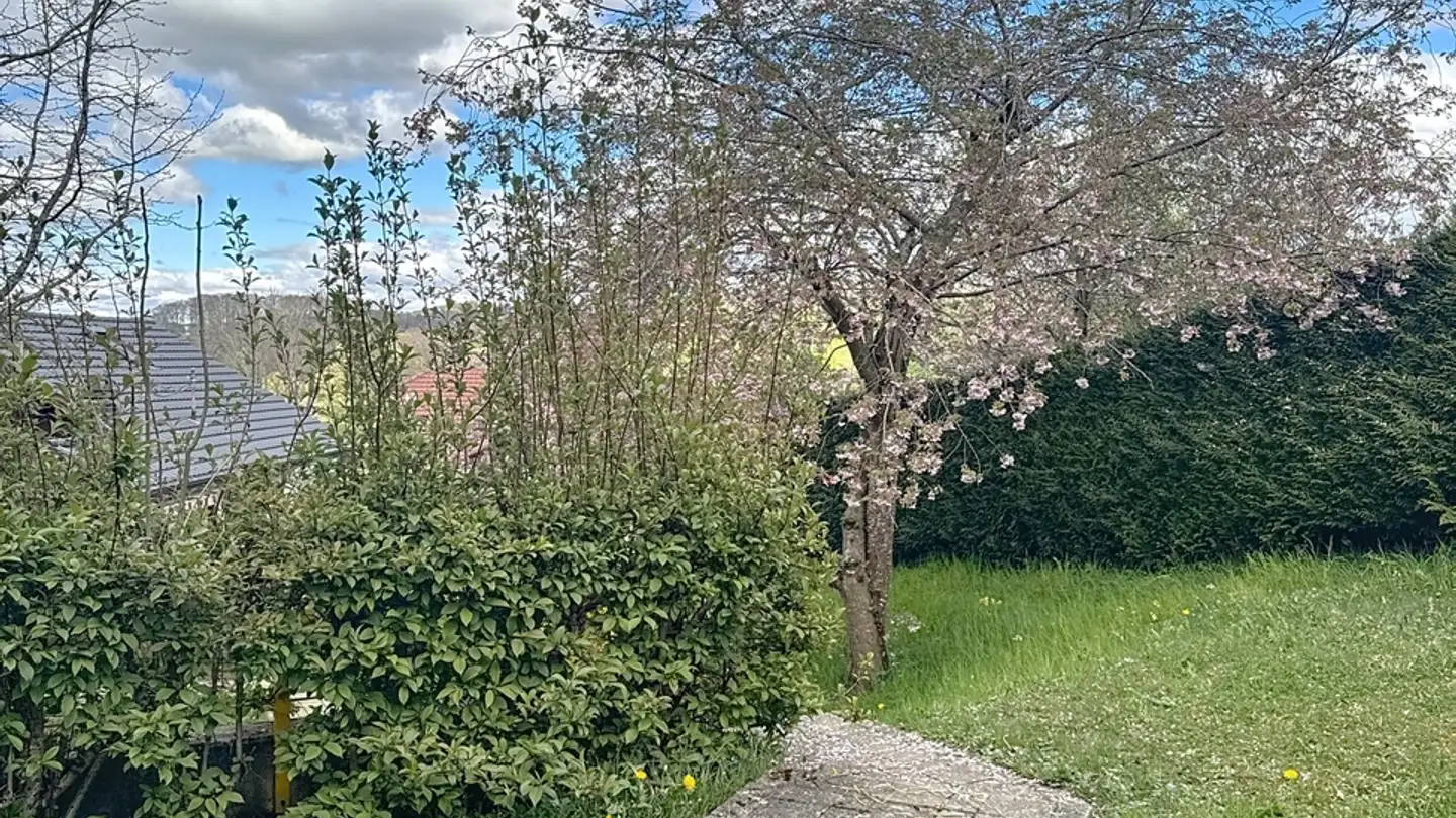 Apartment for sale - 1724 Bonnefontaine - Photo 3