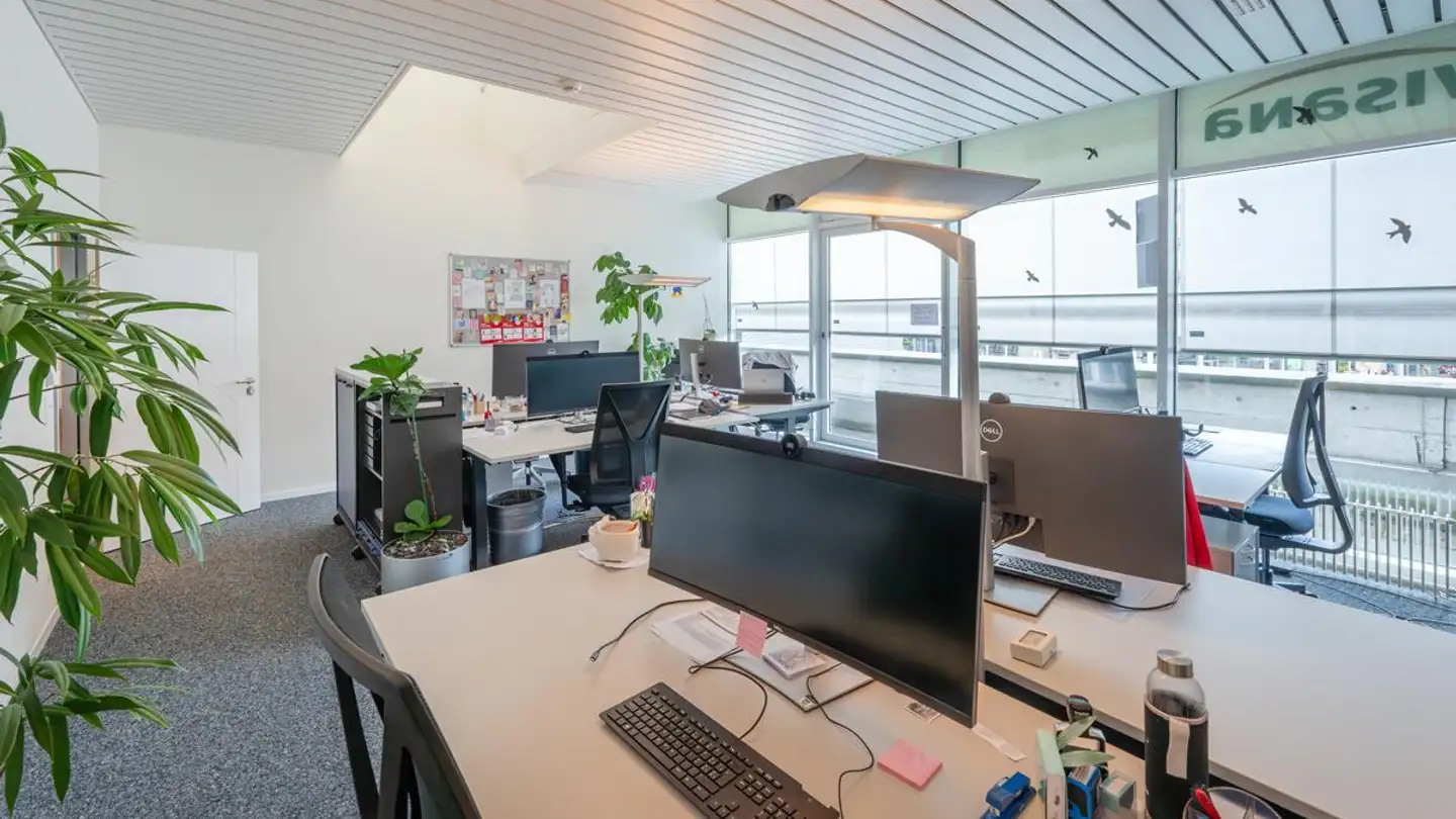 Spazio ufficio in affitto - Binzmühlestrasse 95, 8050 Zürich - Foto 3