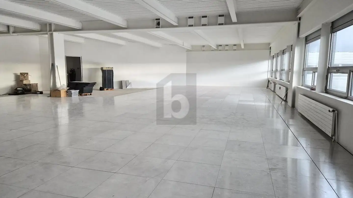 Office space for rent - 8153 Rümlang