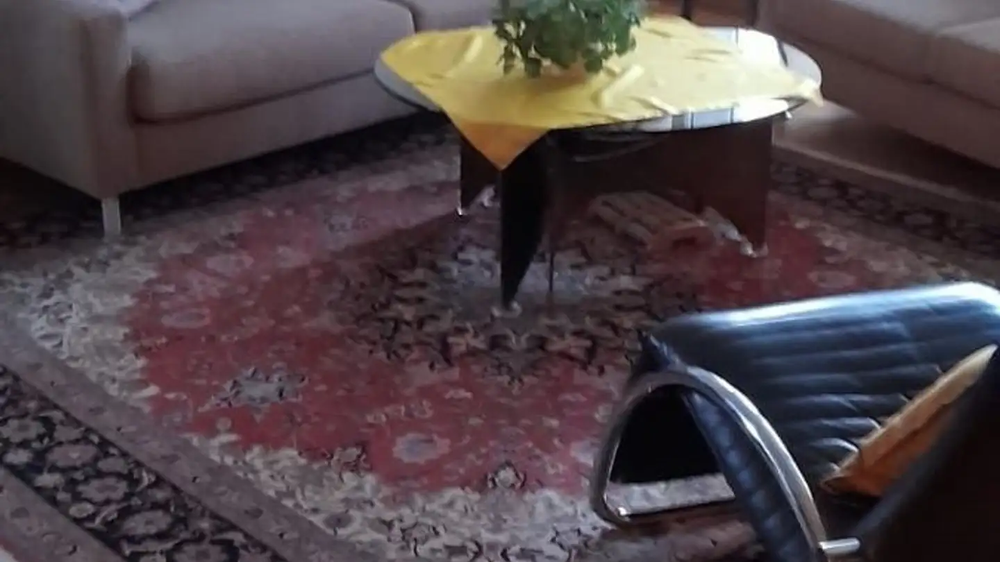 Apartment for rent - Luzernerstrasse 64, 6014 Luzern