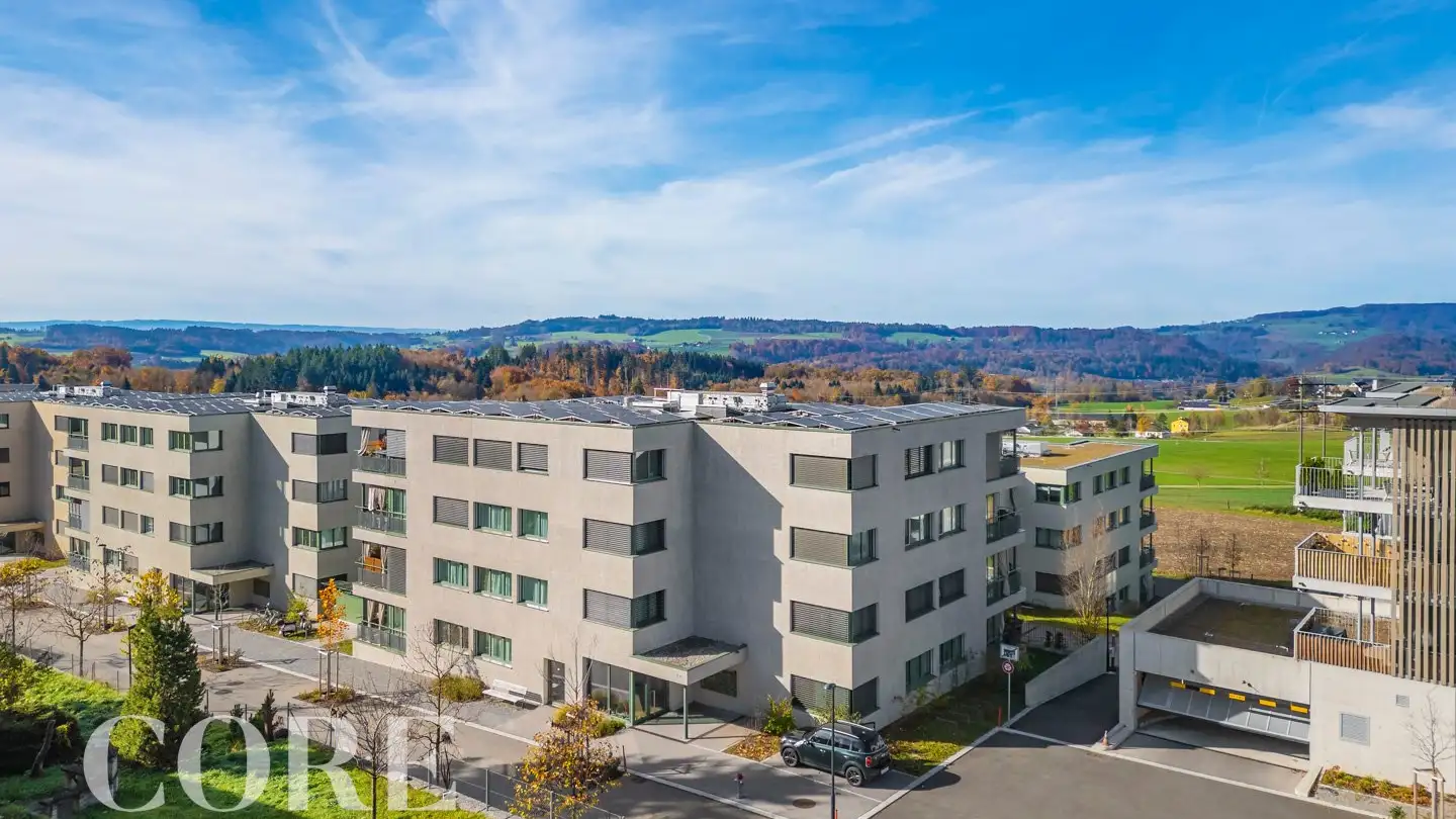Appartamento in vendita - Birmensdorferstrasse 40, 8142 Uitikon Waldegg - Foto 3