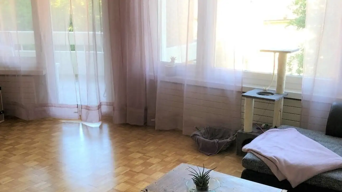 Appartamento in affitto - Lehnstrasse 105, 9014 St. Gallen - Foto 2