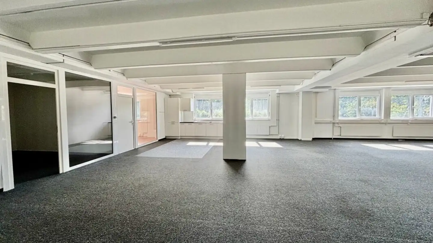 Commercial for rent - 1023 Crissier