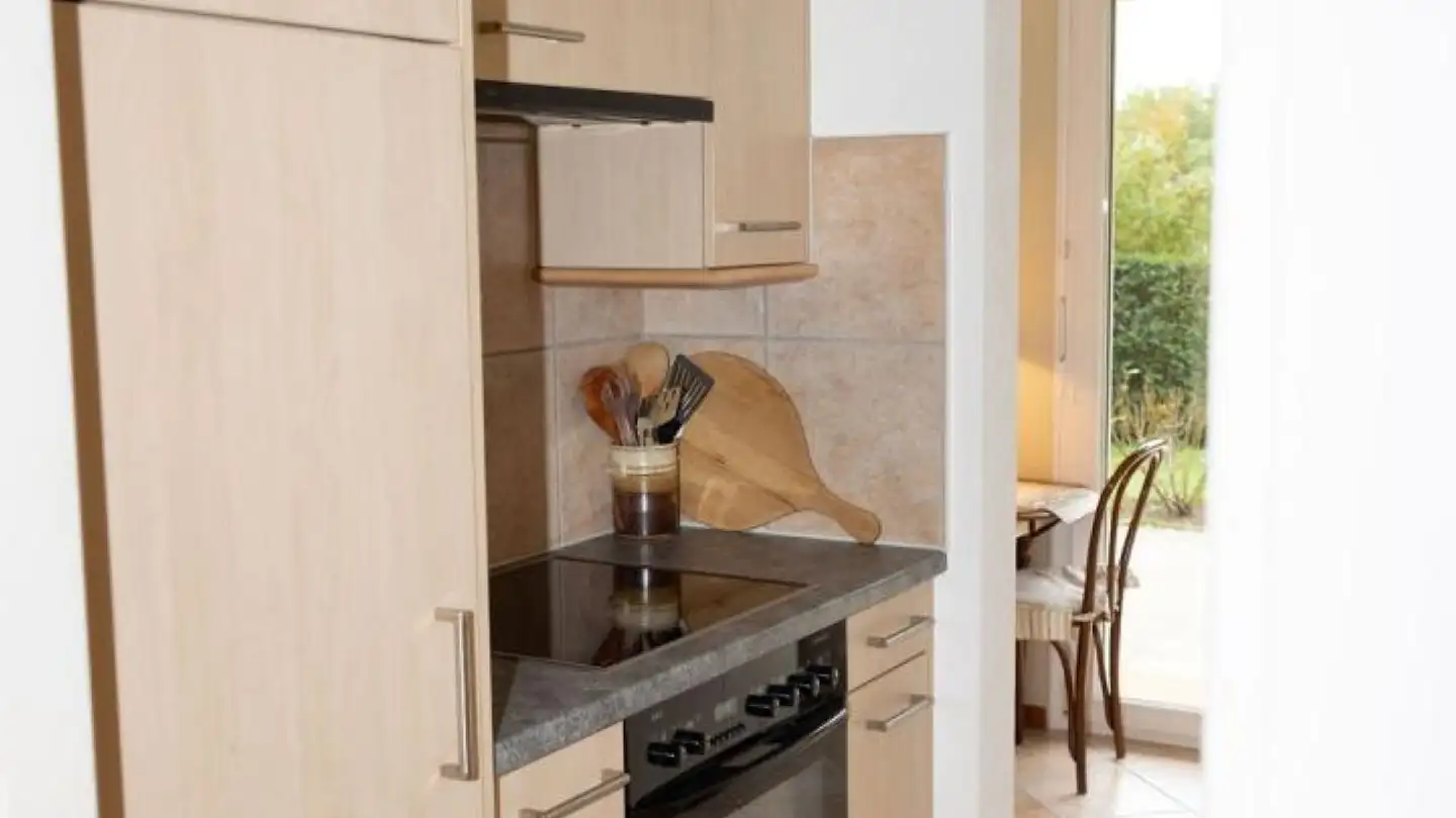 Apartment for sale - Chemin du Signal, 1070 Puidoux - Photo 4