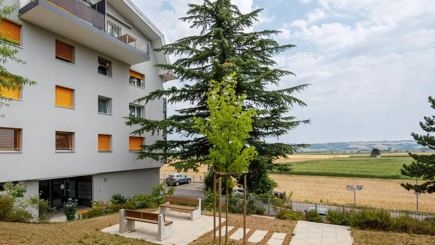 Wohnung mieten - Chemin Des Covets 17, 1350 Orbe - Foto 4