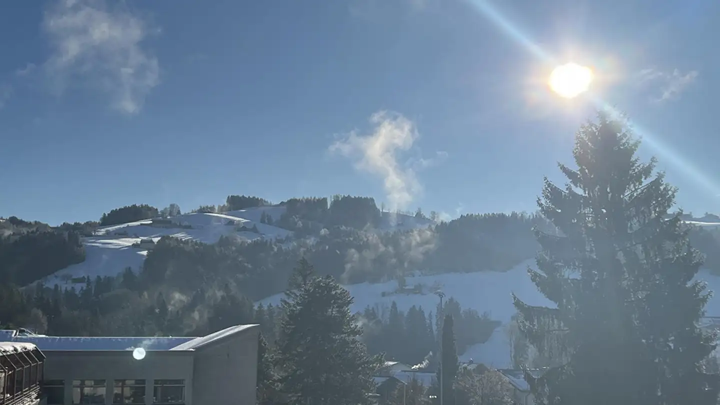 Appartement à louer - St. Gallerstrasse 5, 9034 Eggersriet