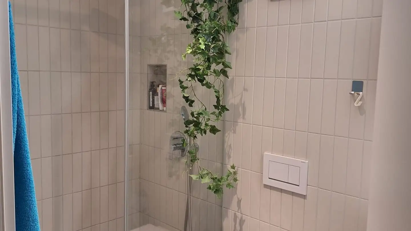 Chambre à louer - Albisriederstrasse, 8003 Zürich - Photo 2