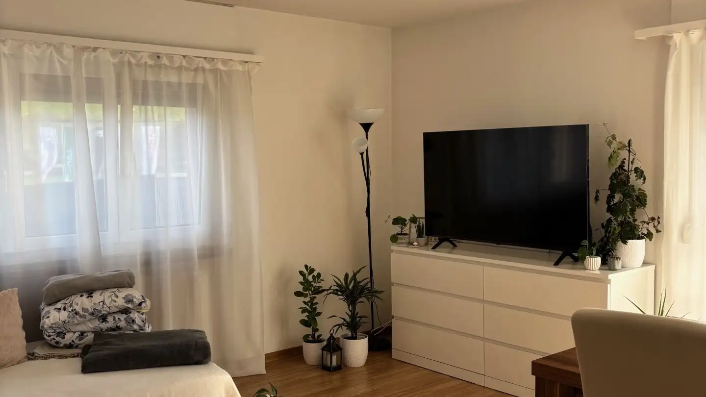 Wohnung mieten - Hauptstrasse 123, 5070 Frick - Foto 2