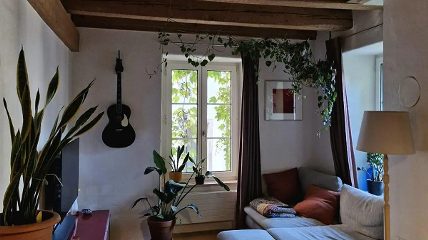 Appartement à louer - Rosengässchen 6, 8200 Schaffhausen - Photo 4