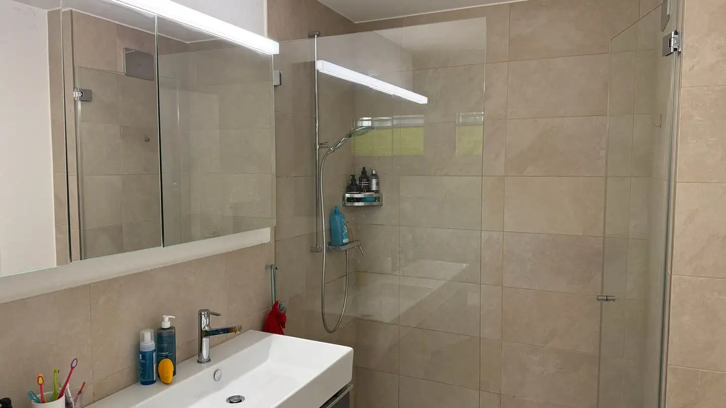 Appartamento in affitto - Landsgemeindeweg, 8853 Lachen SZ - Foto 4