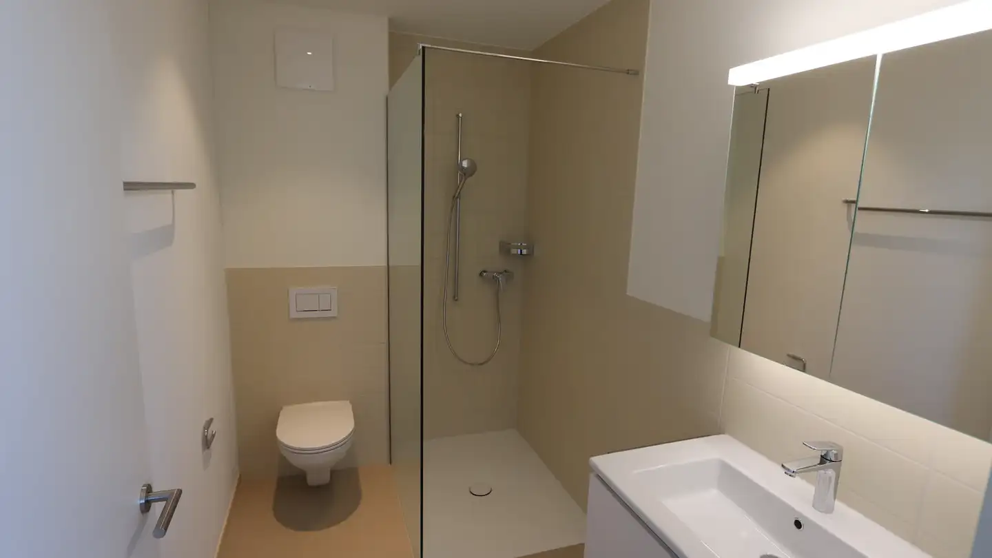 Studio for rent - Widenmattstrasse 1, 5712 Beinwil am See - Photo 4