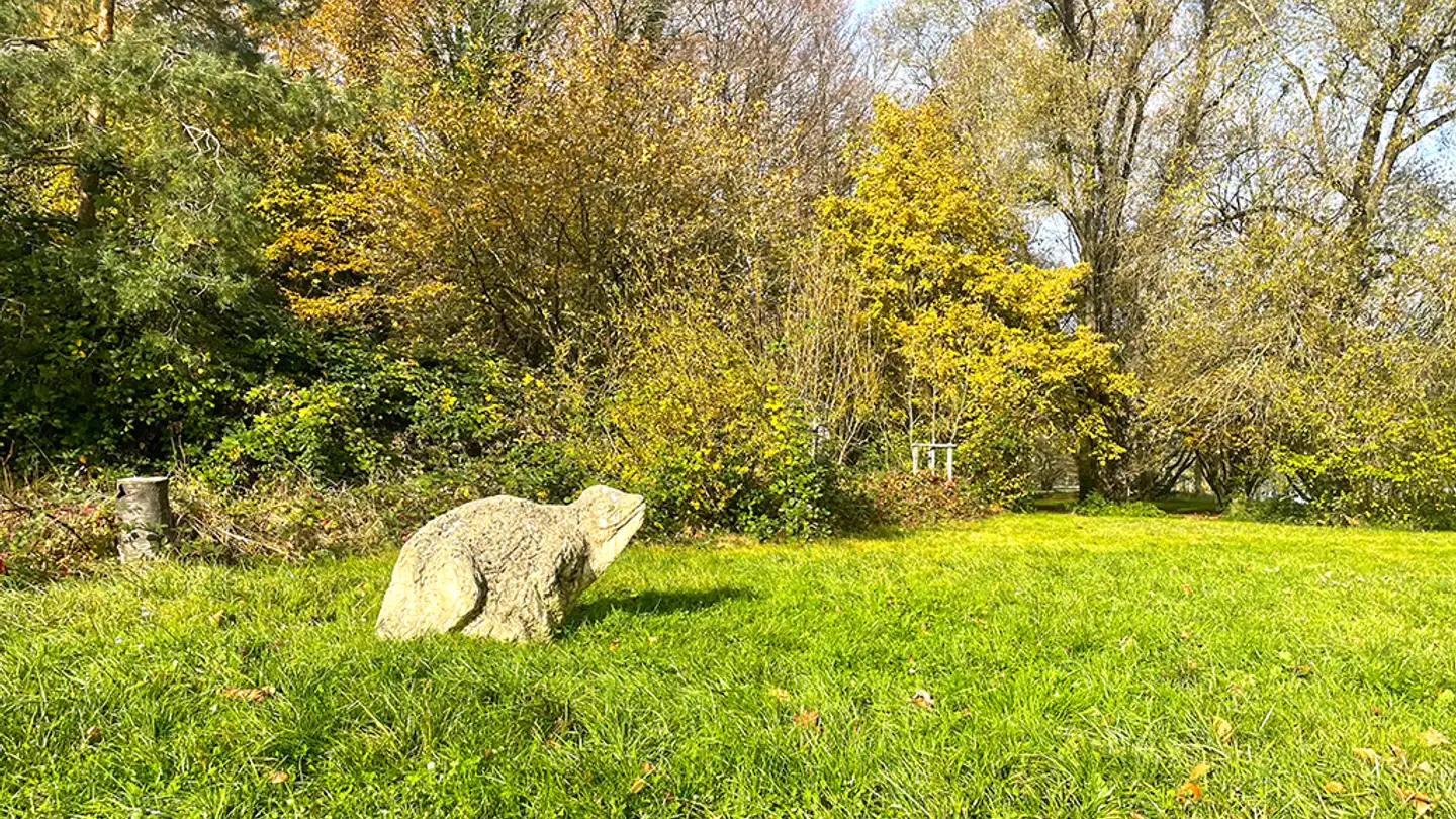 Einfamilienhaus kaufen - 1400 Yverdon-les-Bains