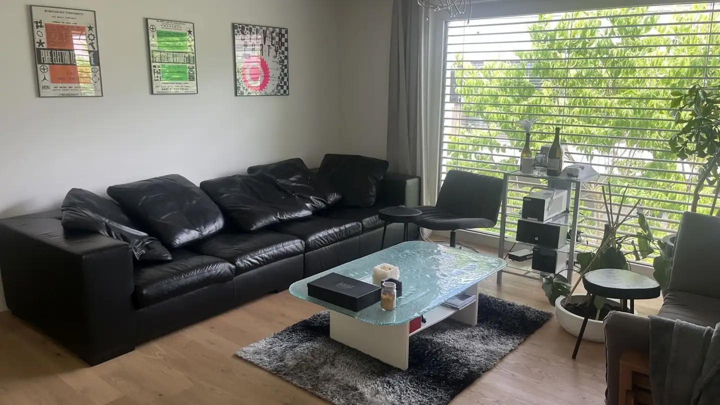 Appartamento in affitto - Holzmattstrasse 16, 8953 Dietikon