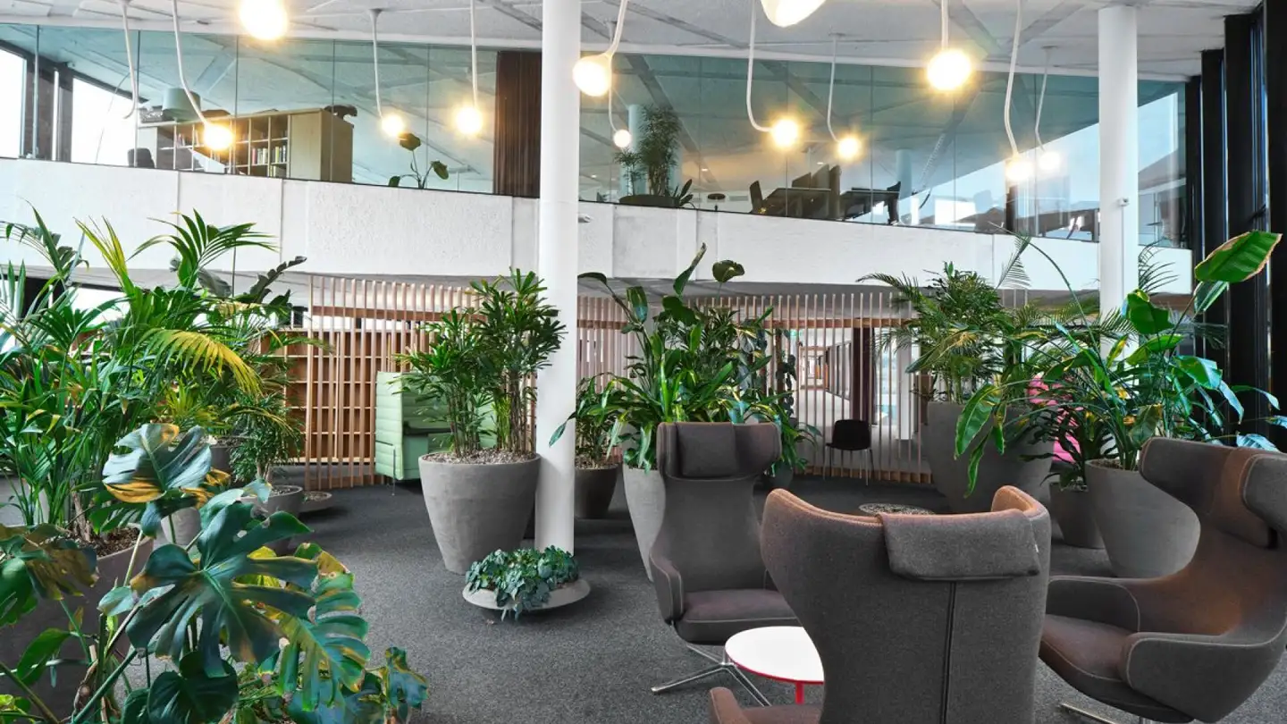 Bürofläche mieten - Centralbahnstrasse 4, 4051 Basel