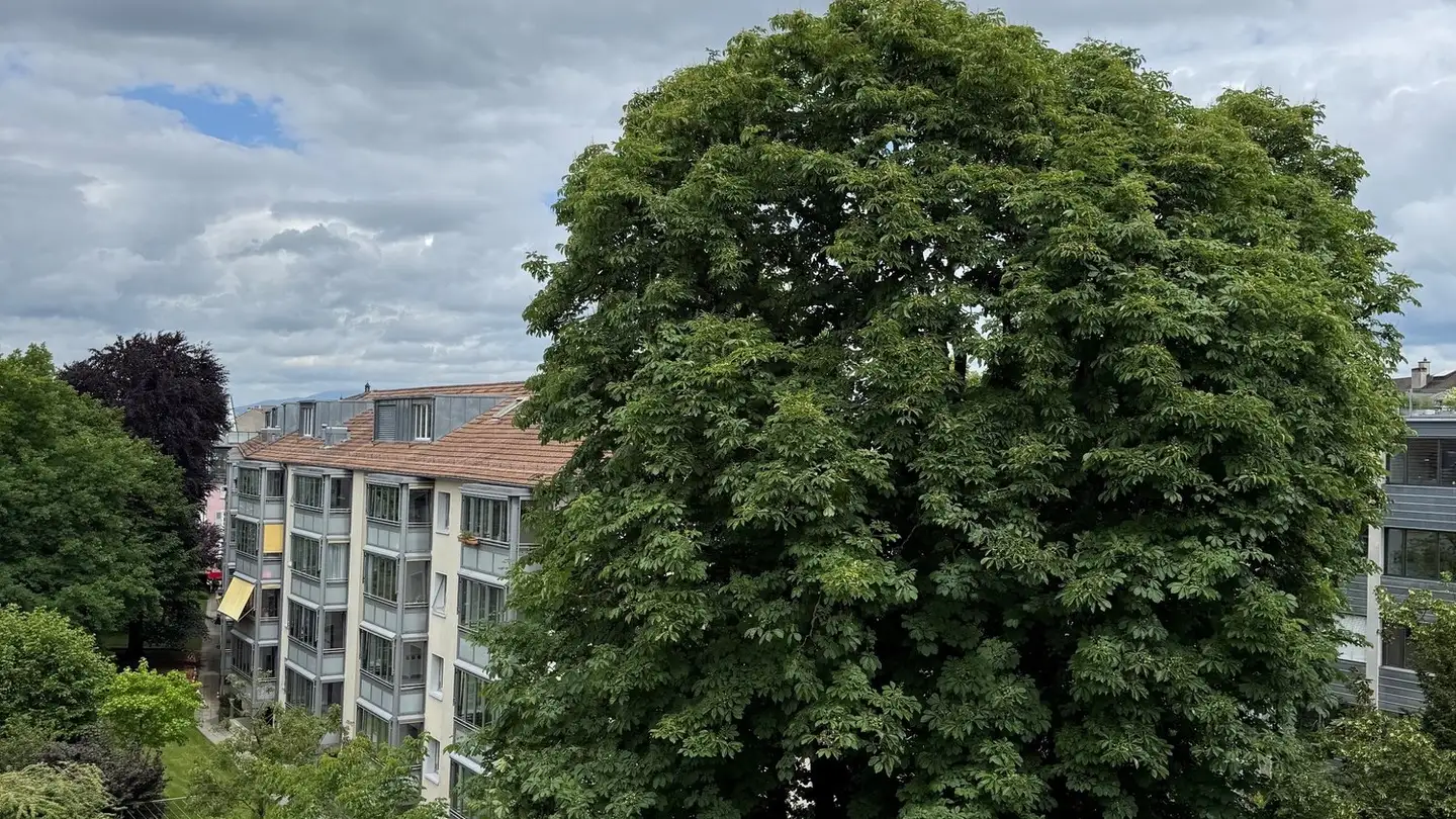 Apartment for rent - Allschwilerstrasse 96, 4055 Basel - Photo 2