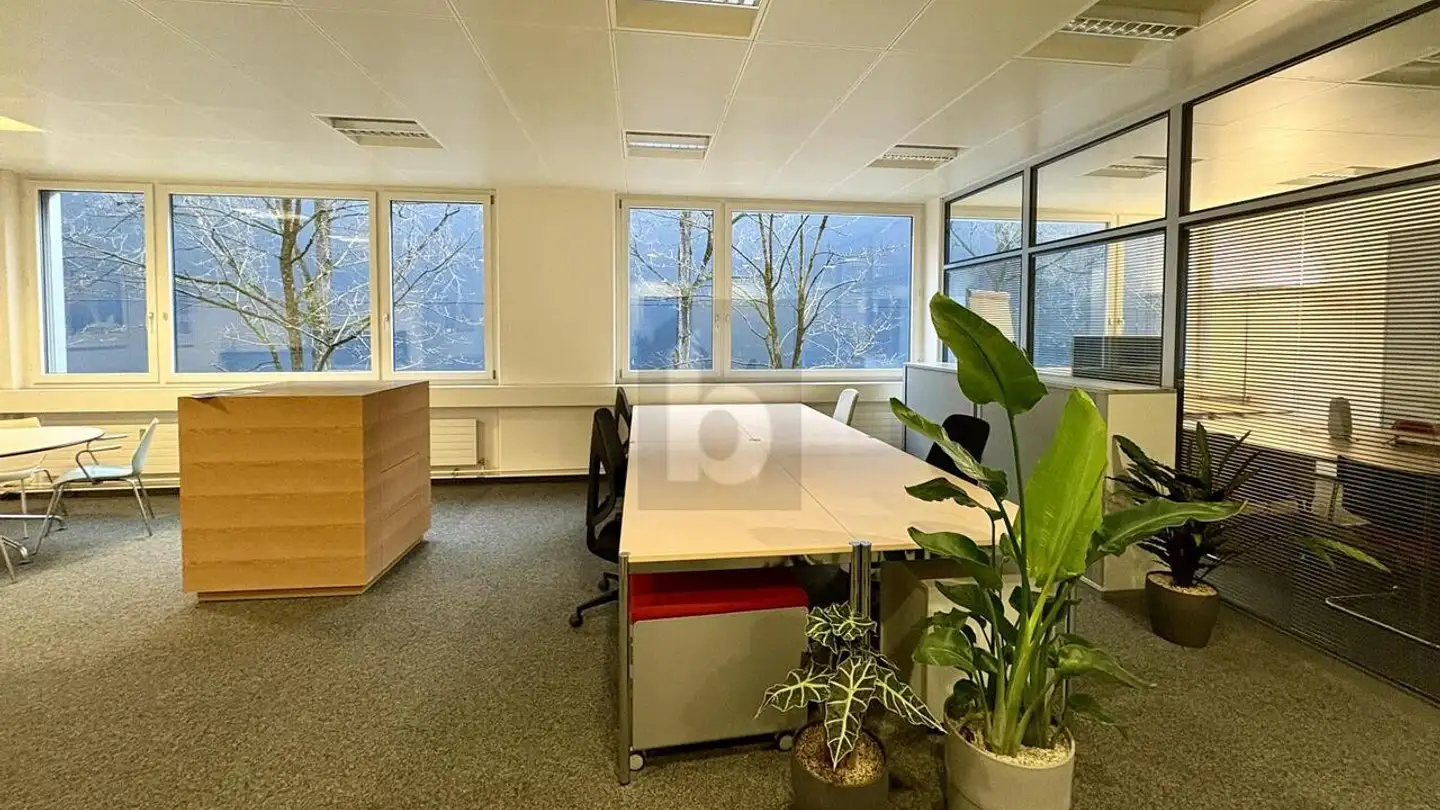 Office space for rent - 6300 Zug