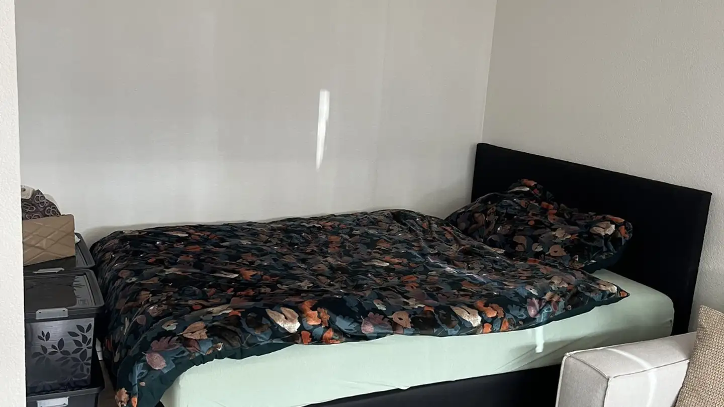 Appartement à louer - 8047 Zürich - Photo 3