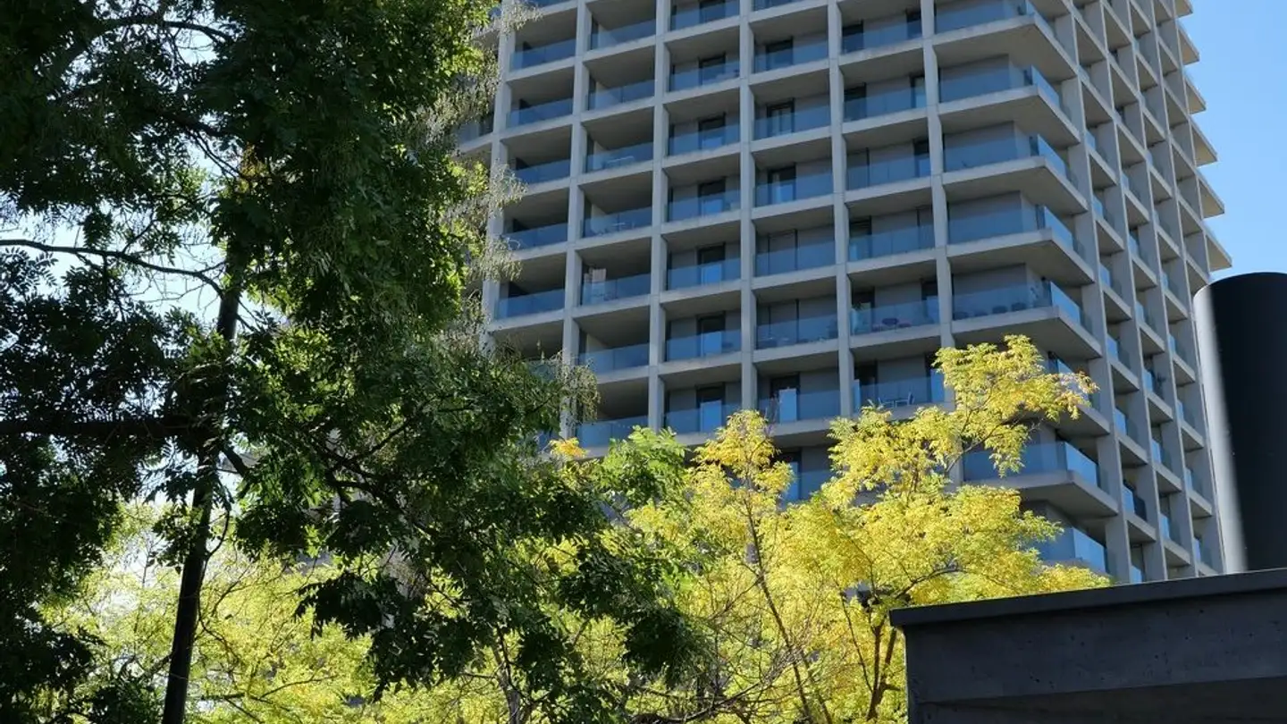Appartement à louer - Schärenmoosstrasse 76, 8052 Zürich - Photo 2