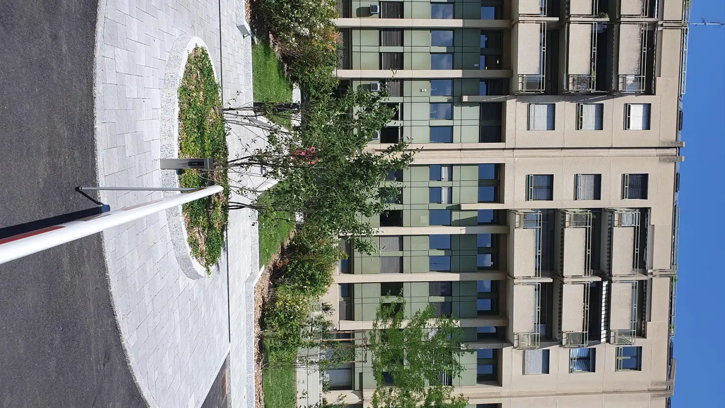 Commercial à louer - Rue François- Perréard 16, 1225 Chêne-Bourg - Photo 2