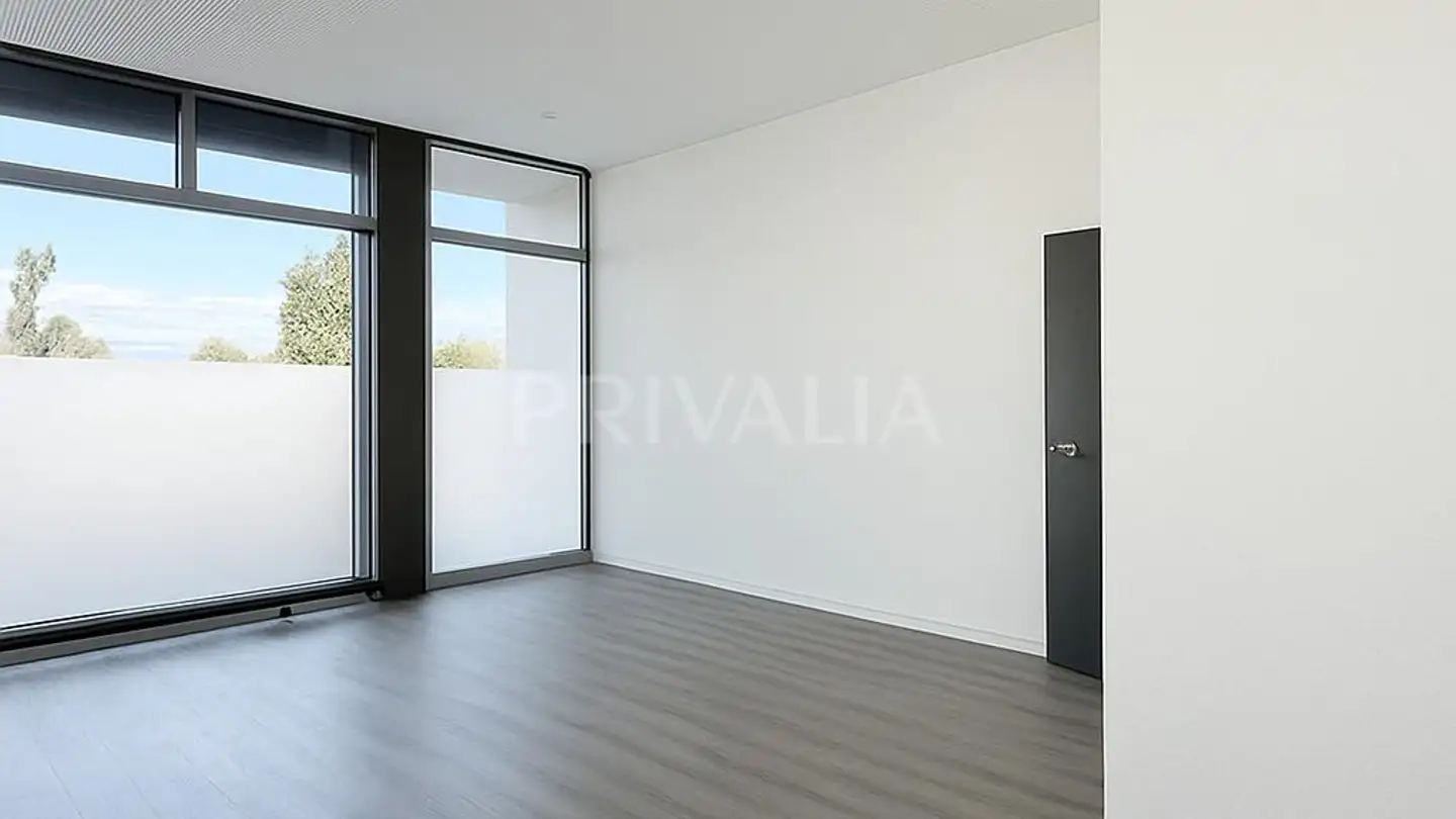 Commerciale in affitto - 1212 Grand-Lancy - Foto 2