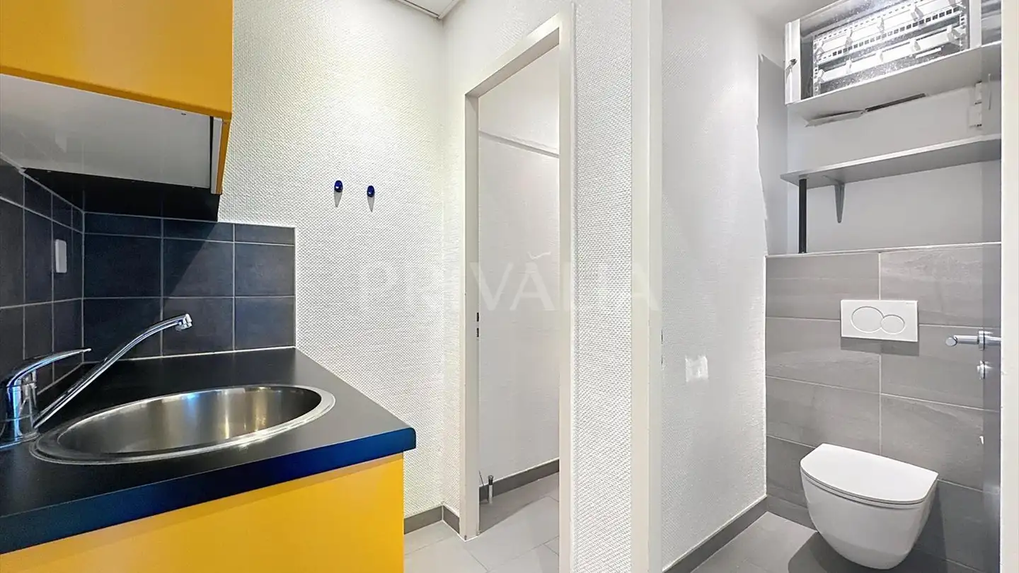 Commerciale in affitto - 1212 Grand-Lancy - Foto 4